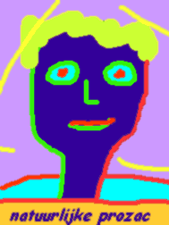 bliksem in mijn hoofd